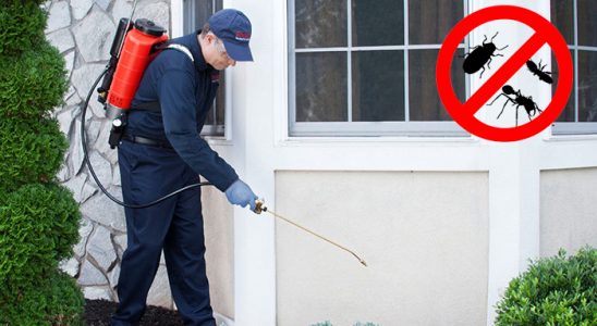 Felahiye Fare İlaçlama böcek ilaçlama ve haşere kontrolü — ilaclama-tr.com